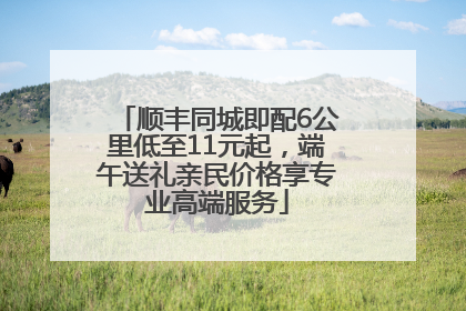 顺丰同城即配6公里低至11元起，端午送礼亲民价格享专业高端服务